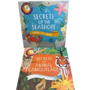 Usborne Shine a Light Book Bundle
